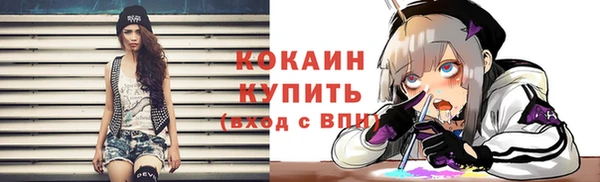 СК Ступино