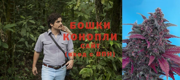 эйфоретик Белокуриха
