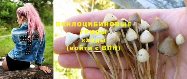 СК Беломорск